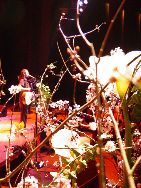 2Mike&Flowers1-30-03